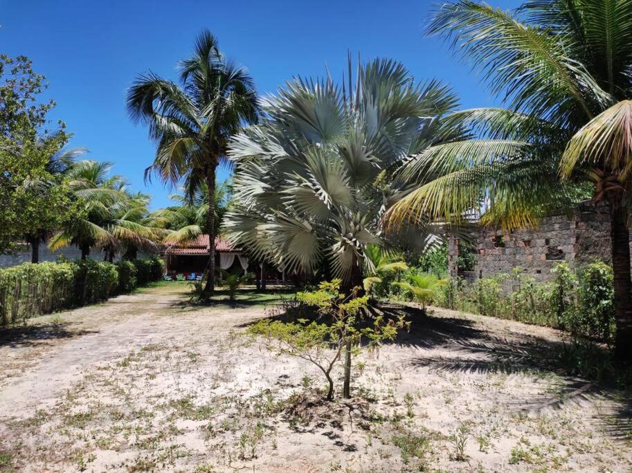 Casa Cumuruxatiba, Natureza E Charme Exteriér fotografie